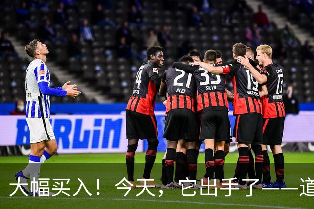 大幅买入！今天，它出手了——道达投资手记