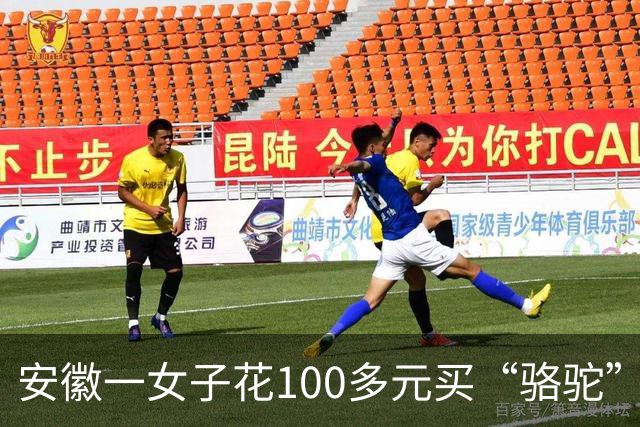 安徽一女子花100多元买“骆驼”冲锋衣，收到货一看，logo竟是一头咧着嘴笑的驴！有人质疑这是擦边，商家：商标已注册，不要只看图片外观