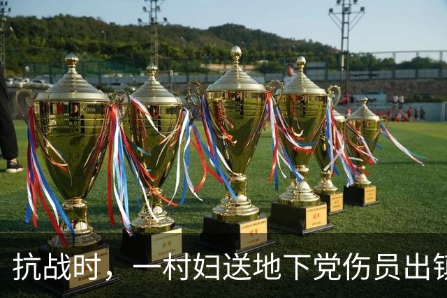 抗战时，一村妇送地下党伤员出镇，走到关卡前忽道：稍后我要装疯