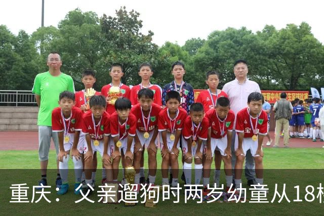 重庆：父亲遛狗时两岁幼童从18楼家中坠亡，母亲以“过失致人死亡”报案获警方受理